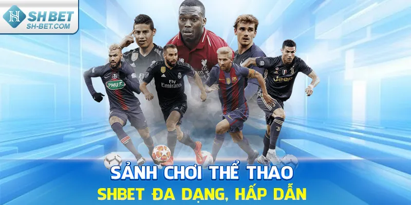Sảnh chơi thể thao SHBET đa dạng hấp dẫn